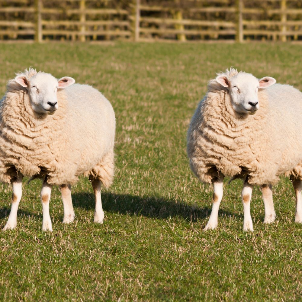 Envisaging the fourth estate in 21st Century science journalism